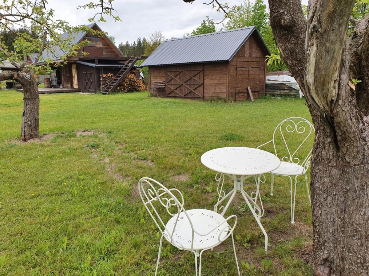 Villa Hajdukowszczyzna 10 à Narew Extérieur photo